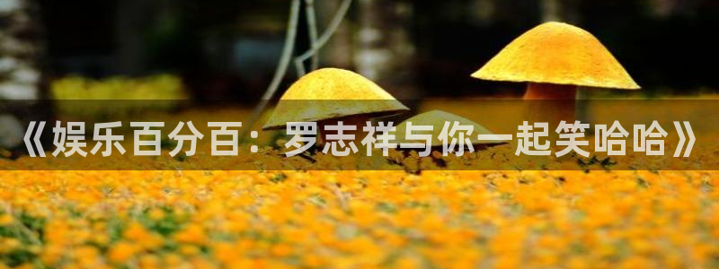 狗子28游戏官网入口注册